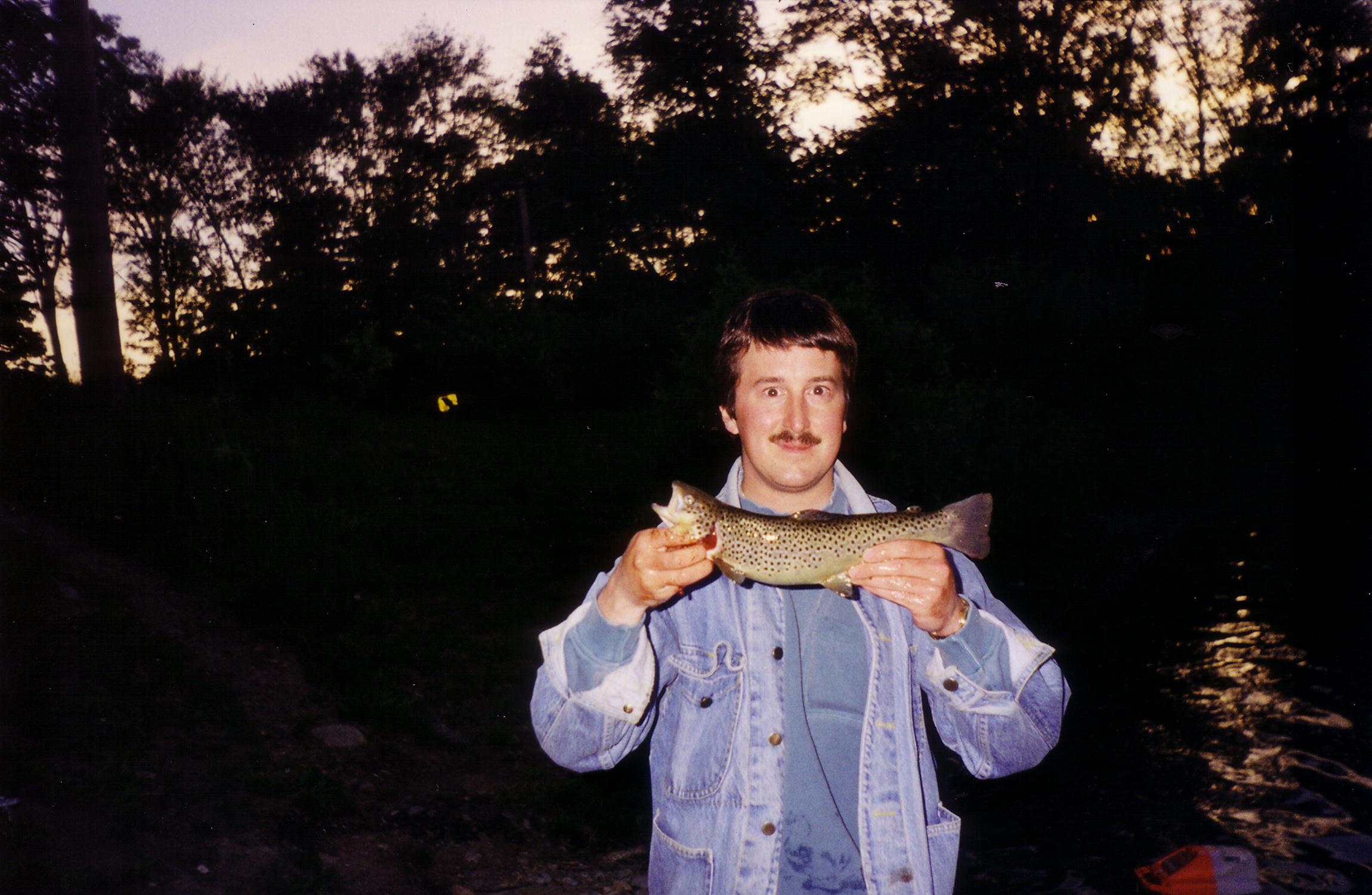 Brown Trout